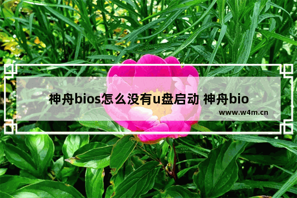 神舟bios怎么没有u盘启动 神舟bios没有硬盘启动项