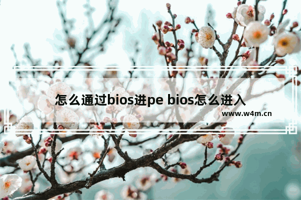 怎么通过bios进pe bios怎么进入pe