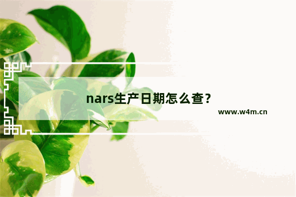 nars生产日期怎么查？