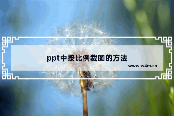 ppt中按比例裁图的方法