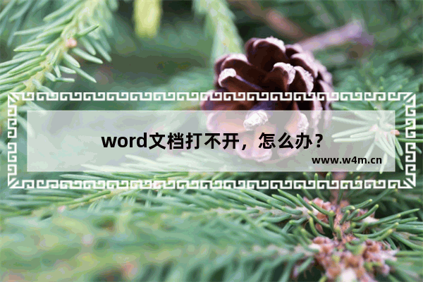 word文档打不开，怎么办？