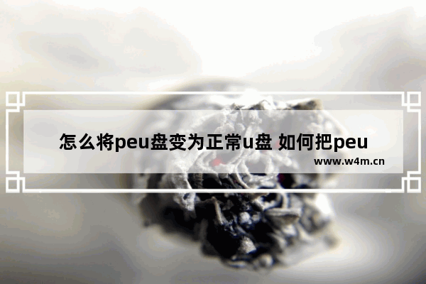 怎么将peu盘变为正常u盘 如何把peu盘变成普通u盘