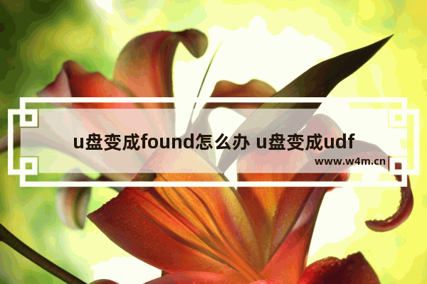 u盘变成found怎么办 u盘变成udf格式怎么恢复