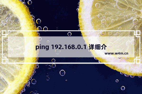 ping 192.168.0.1 详细介绍（图文教程）