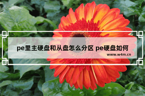 pe里主硬盘和从盘怎么分区 pe硬盘如何分区