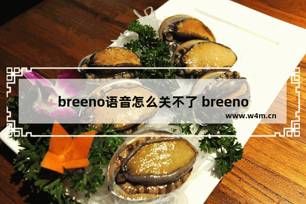 breeno语音怎么关不了 breeno语音怎么关掉