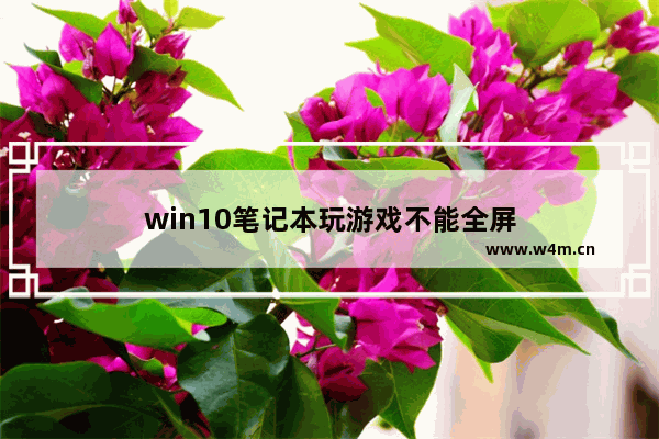 win10笔记本玩游戏不能全屏