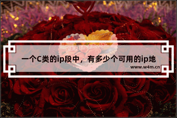 一个C类的ip段中，有多少个可用的ip地址？192.168.0.1/24是什么意思？