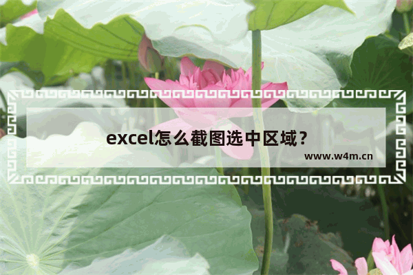 excel怎么截图选中区域？