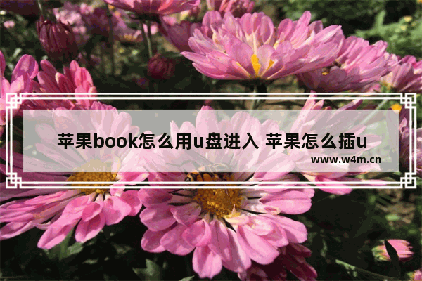 苹果book怎么用u盘进入 苹果怎么插u盘