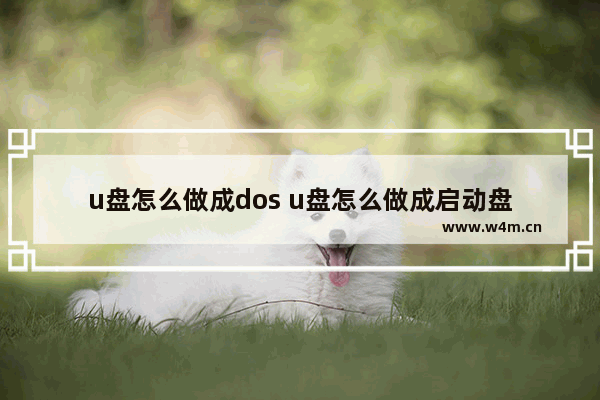 u盘怎么做成dos u盘怎么做成启动盘