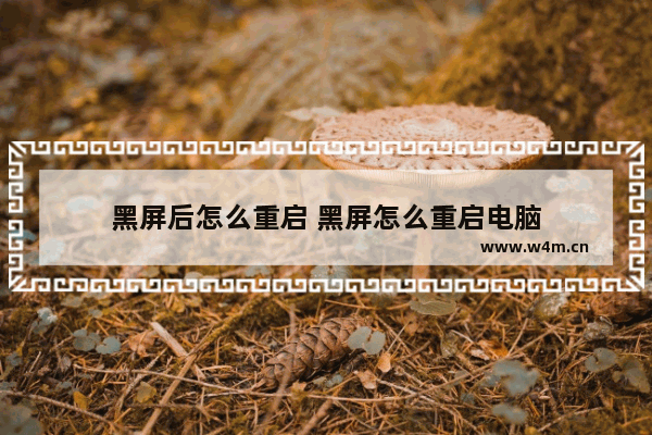 黑屏后怎么重启 黑屏怎么重启电脑