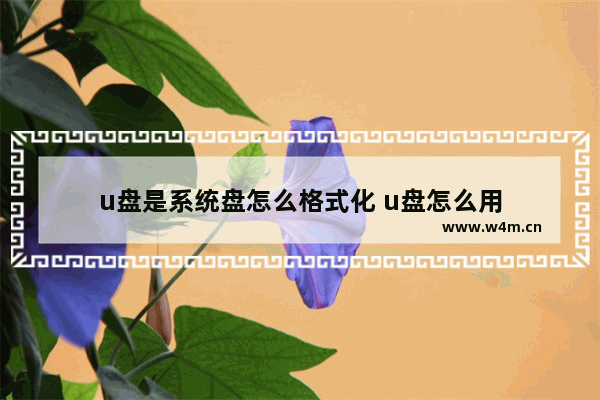 u盘是系统盘怎么格式化 u盘怎么用