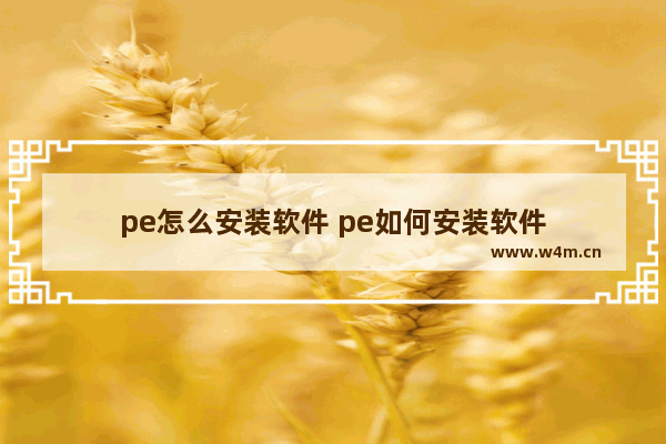 pe怎么安装软件 pe如何安装软件