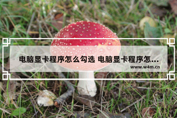 电脑显卡程序怎么勾选 电脑显卡程序怎么勾选的