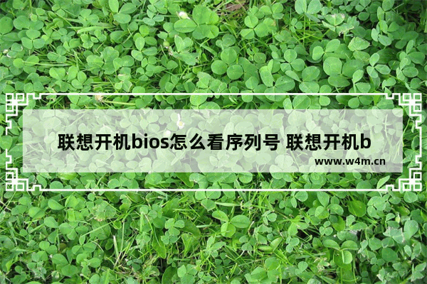 联想开机bios怎么看序列号 联想开机bios怎么看序列号