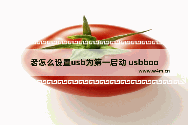 老怎么设置usb为第一启动 usbbootenabled怎么设置为第一启动项