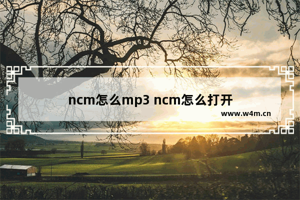 ncm怎么mp3 ncm怎么打开