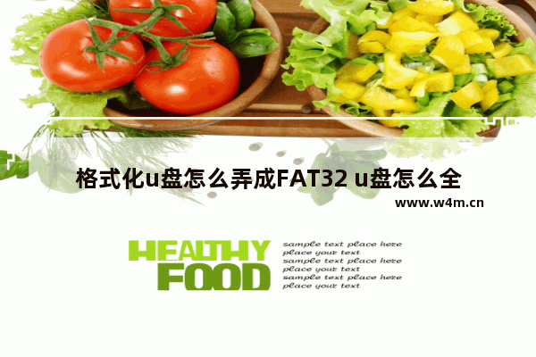 格式化u盘怎么弄成FAT32 u盘怎么全部格式化