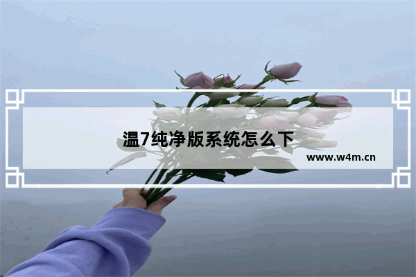 温7纯净版系统怎么下