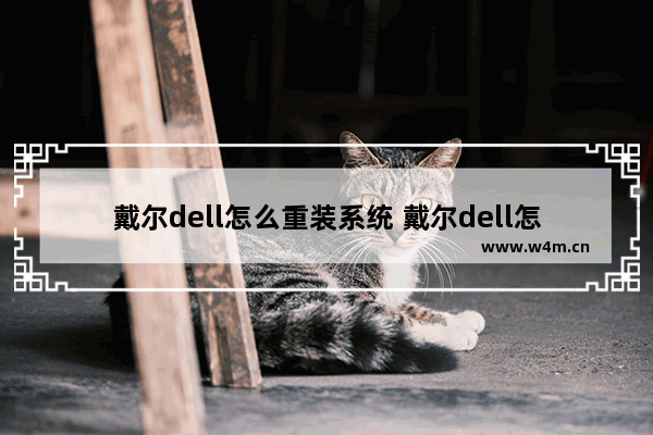 戴尔dell怎么重装系统 戴尔dell怎么重装系统步骤