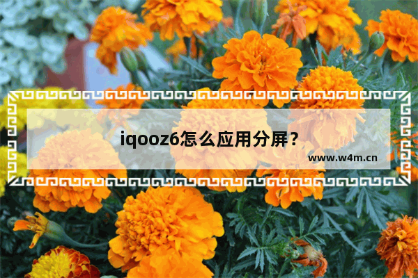 iqooz6怎么应用分屏？