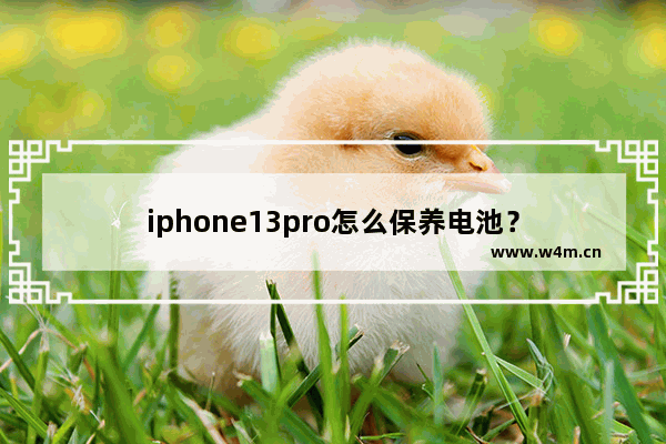 iphone13pro怎么保养电池？