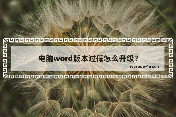 电脑word版本过低怎么升级？