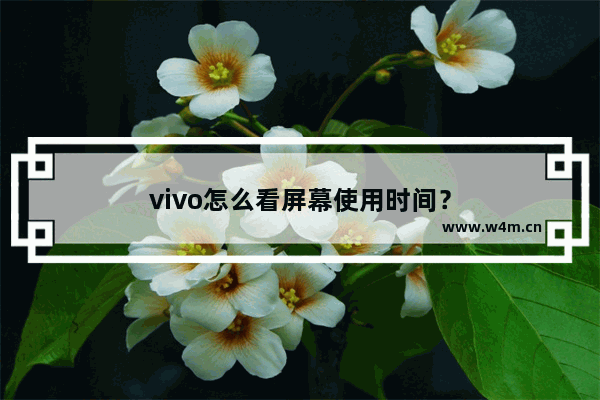 vivo怎么看屏幕使用时间？