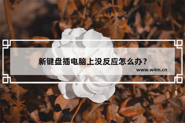 新键盘插电脑上没反应怎么办？