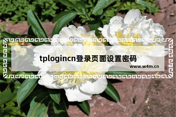 tplogincn登录页面设置密码