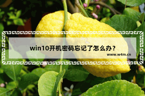 win10开机密码忘记了怎么办？