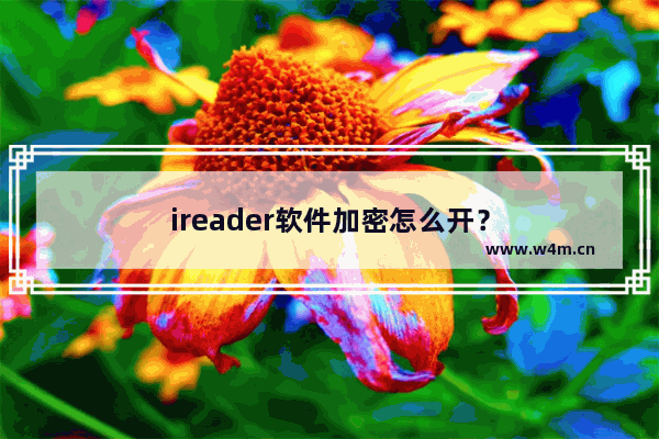 ireader软件加密怎么开？