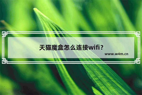 天猫魔盒怎么连接wifi？