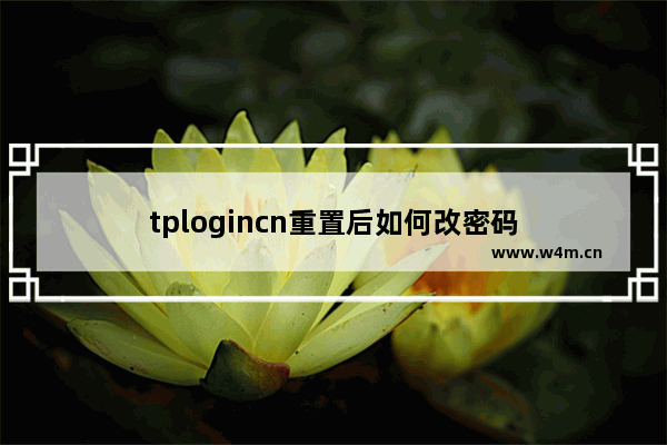 tplogincn重置后如何改密码