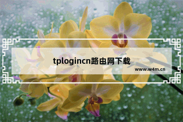 tplogincn路由网下载