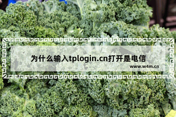 为什么输入tplogin.cn打开是电信猫的登录页面