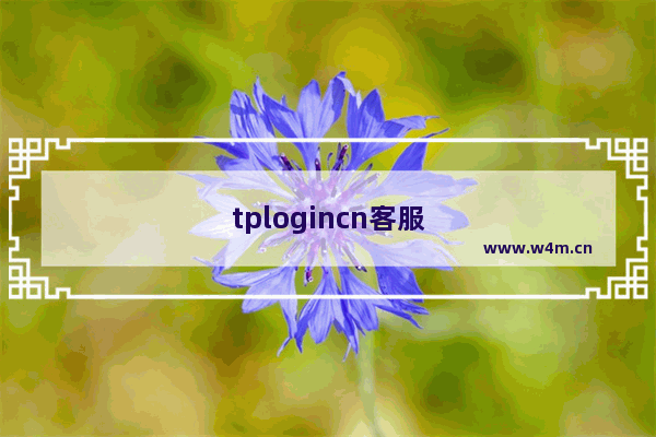 tplogincn客服