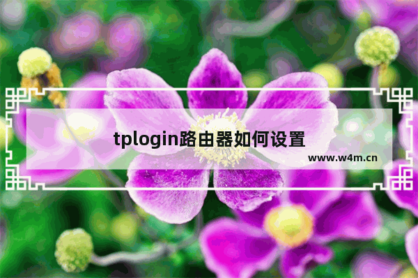 tplogin路由器如何设置