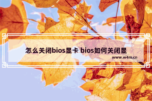 怎么关闭bios显卡 bios如何关闭显卡