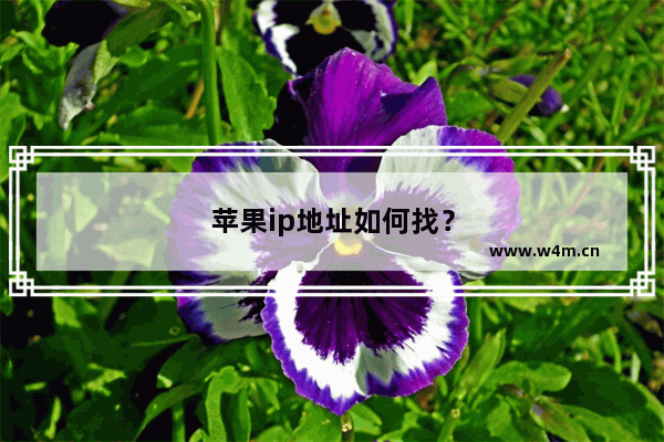 苹果ip地址如何找？