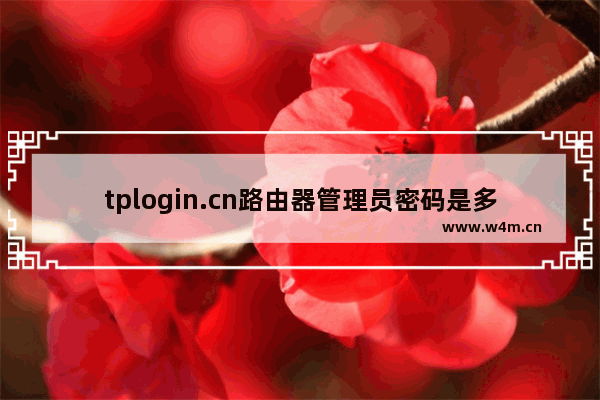 tplogin.cn路由器管理员密码是多少？