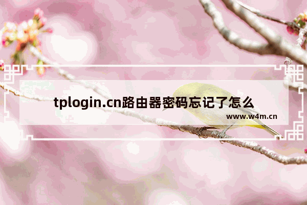 tplogin.cn路由器密码忘记了怎么解决？