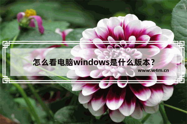 怎么看电脑windows是什么版本？