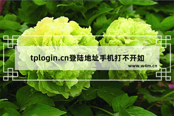 tplogin.cn登陆地址手机打不开如何解决 tplogin.cn登陆地址手机打不开解决方法【详解】