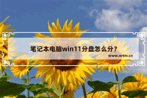 笔记本电脑win11分盘怎么分？