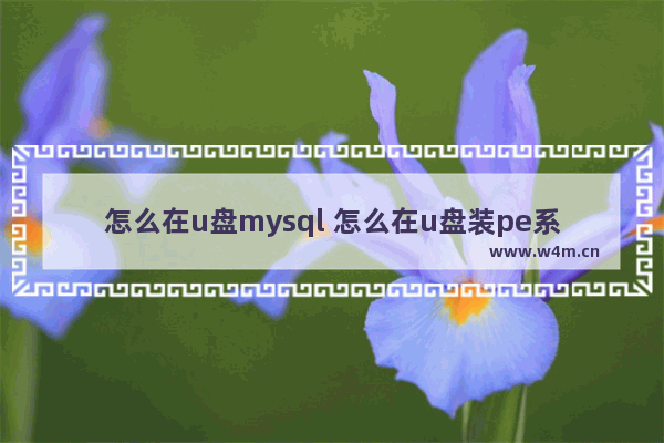 怎么在u盘mysql 怎么在u盘装pe系统盘