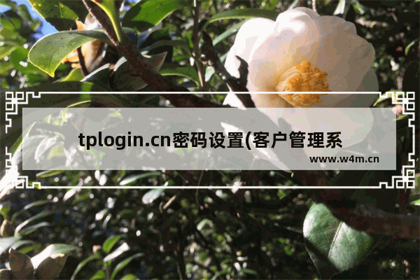 tplogin.cn密码设置(客户管理系统192.168.2.1)