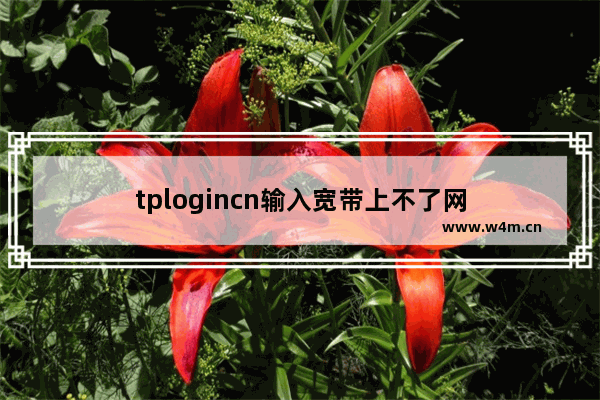 tplogincn输入宽带上不了网