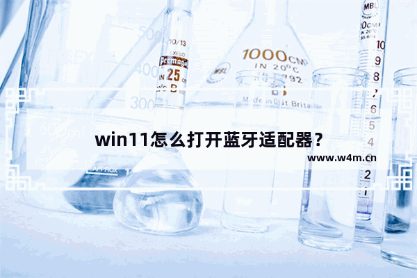 win11怎么打开蓝牙适配器？